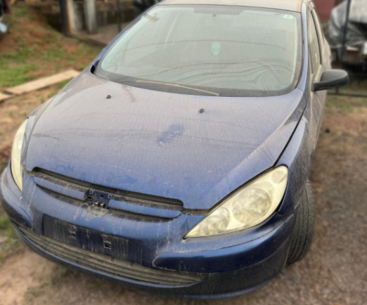 Sucata Peugeot 307 1.6 16v 2004 Retirada De Peças