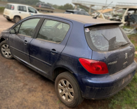 Sucata Peugeot 307 1.6 16v 2004 Retirada De Peças